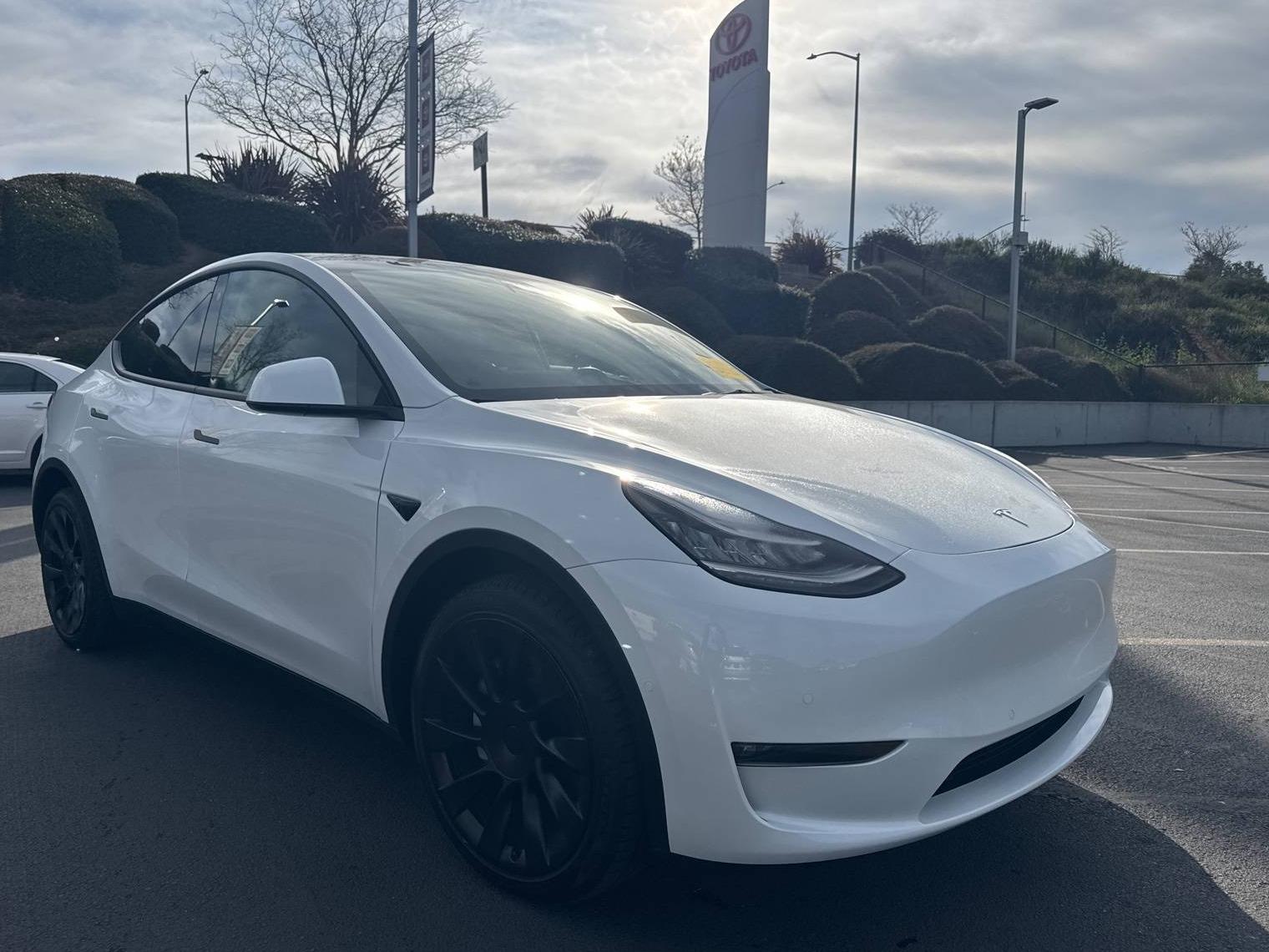 TESLA MODEL Y 2023 7SAYGDEE6PF584915 image